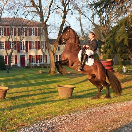 Le Relais Du Silence Chateau Lavail Labastide-d'Anjou Luaran gambar